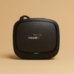 V-guard Mini Crystal (TV) Stablizer