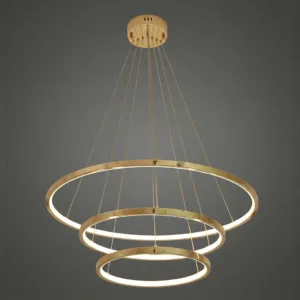 Hanging Chandelier Light